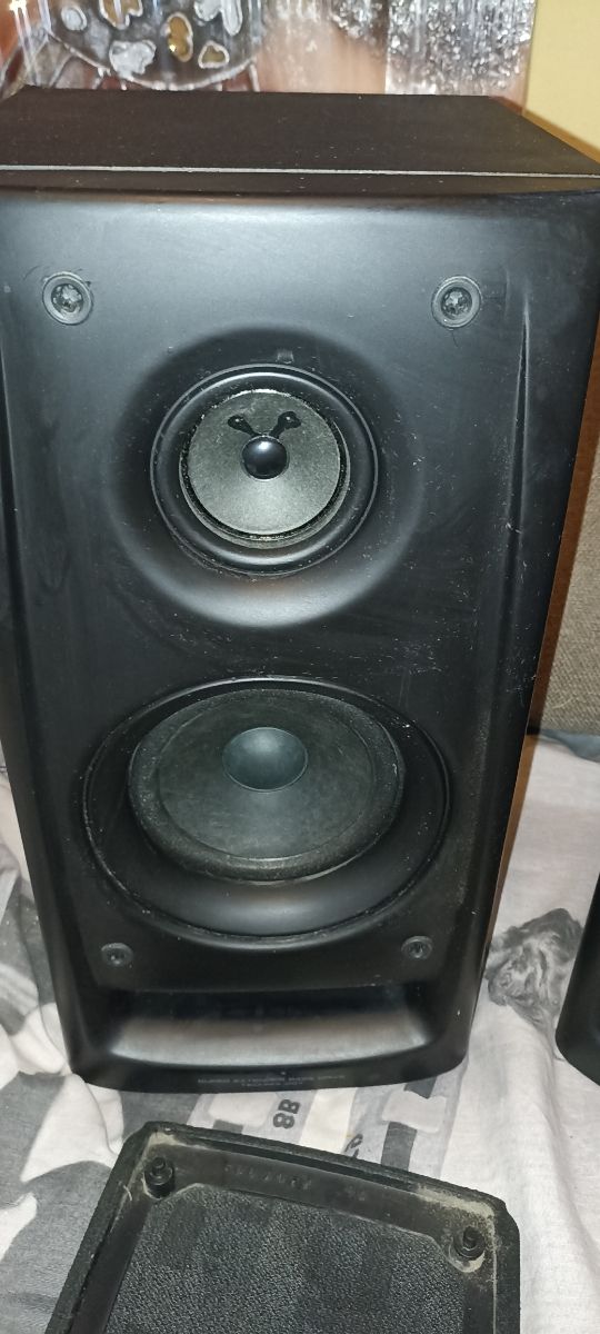 pareja de altavoces Pioneer 