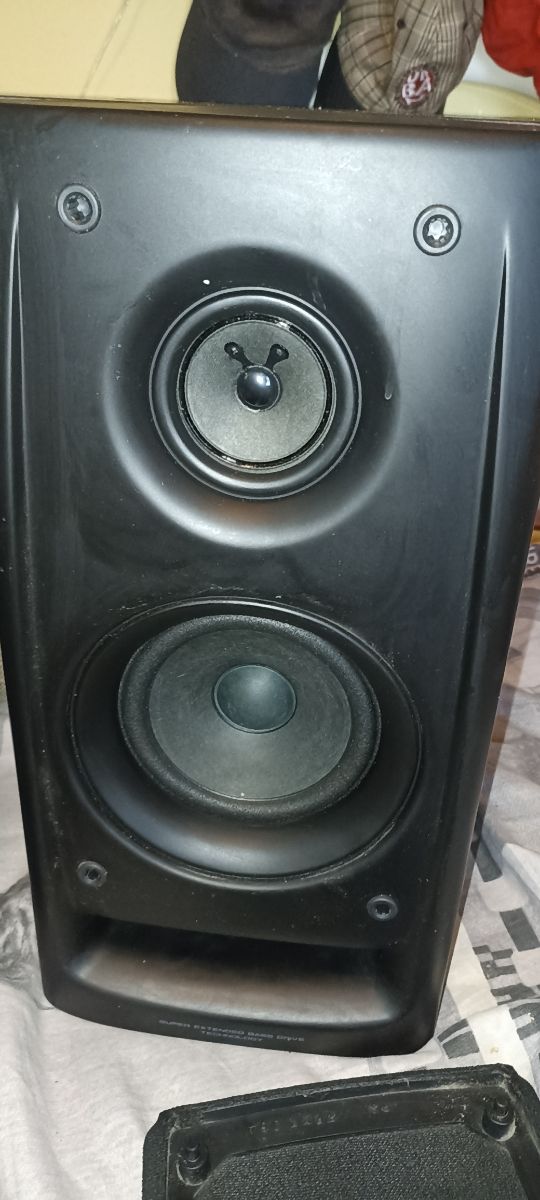 pareja de altavoces Pioneer 