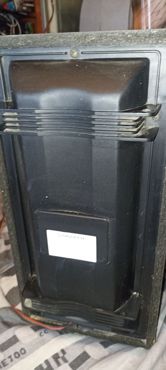 pareja de altavoces Pioneer 