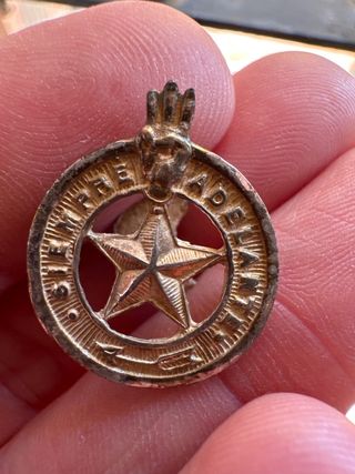 Lote insignias scouts V-1