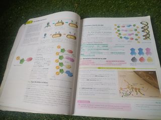 Biología y geología 1°Bachillerato