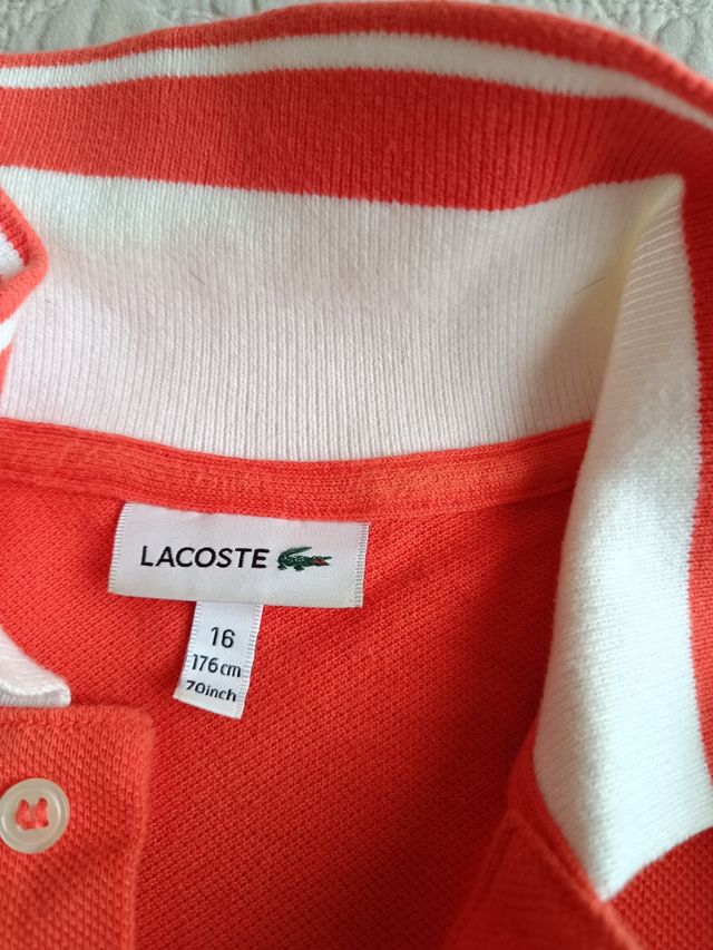 Polo Lacoste 