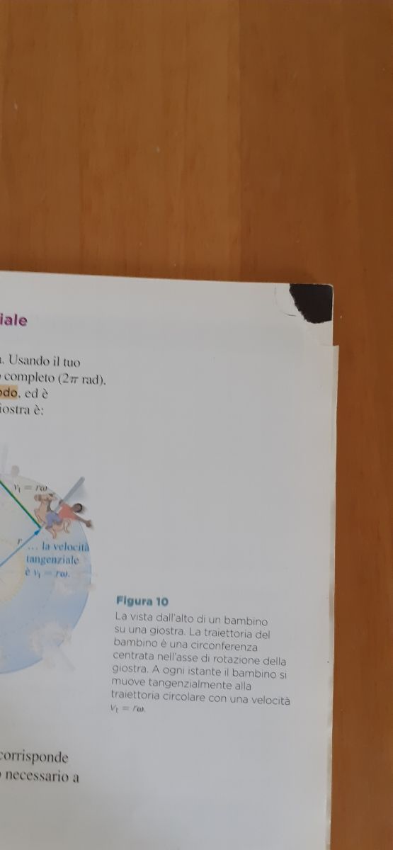 La fisica di Walker 1