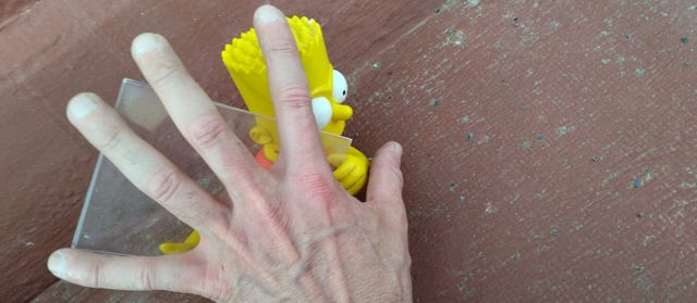 lote diana + porta foto Simpson