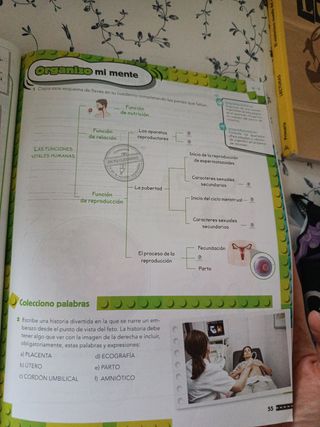 Ciencias de la naturaleza 6to primaria