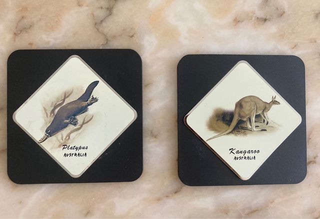 Pack 6 Posavasos de animales