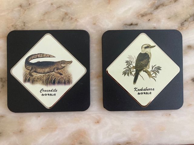 Pack 6 Posavasos de animales