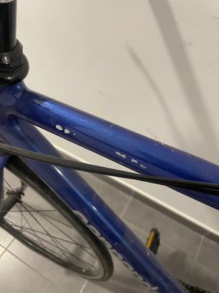 Proyecto fixi
