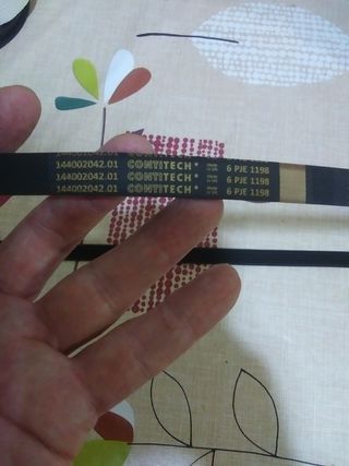 correa lavadora indesit 144002042.01 CONTITECH