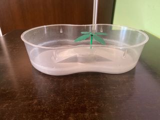 Pecera para tortugas.