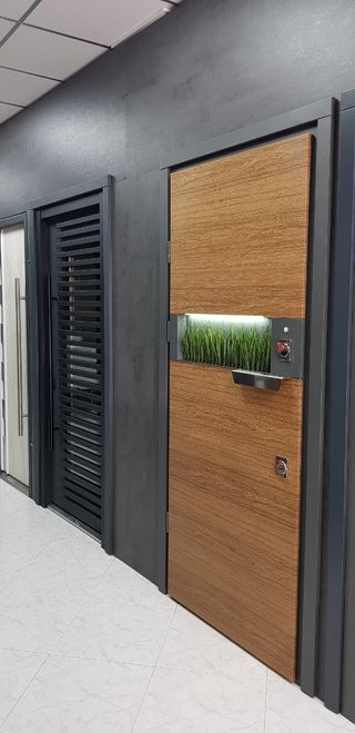Puertas de entrada 