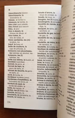 GUÍA DE CONVERSACIÓN EN FRANCÉS. 9€