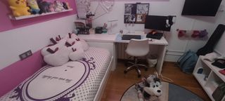 Cama nido+escritorio