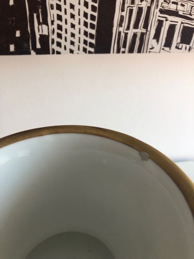 Linda jarra porcelana Artibus