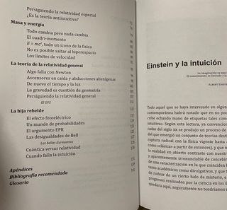 Libro Persiguiendo a Einstein