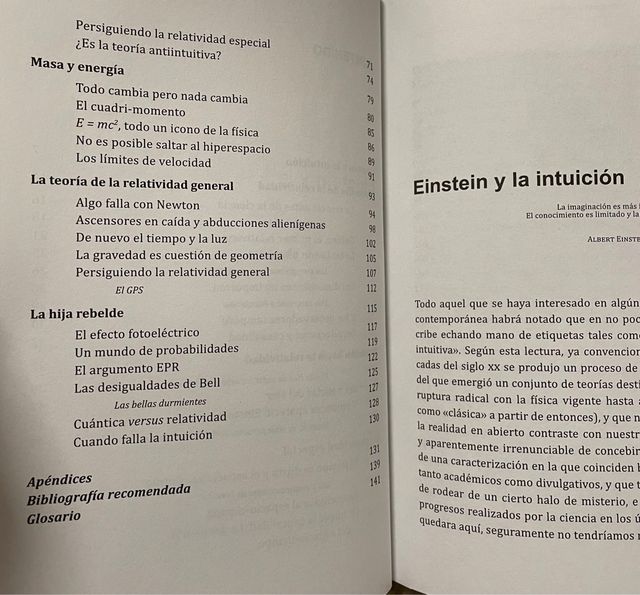 Libro Persiguiendo a Einstein