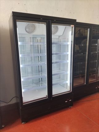 VITRINA CONGELACIÓN DOS PUERTAS