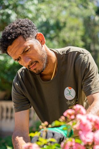 jardinero a domicilio