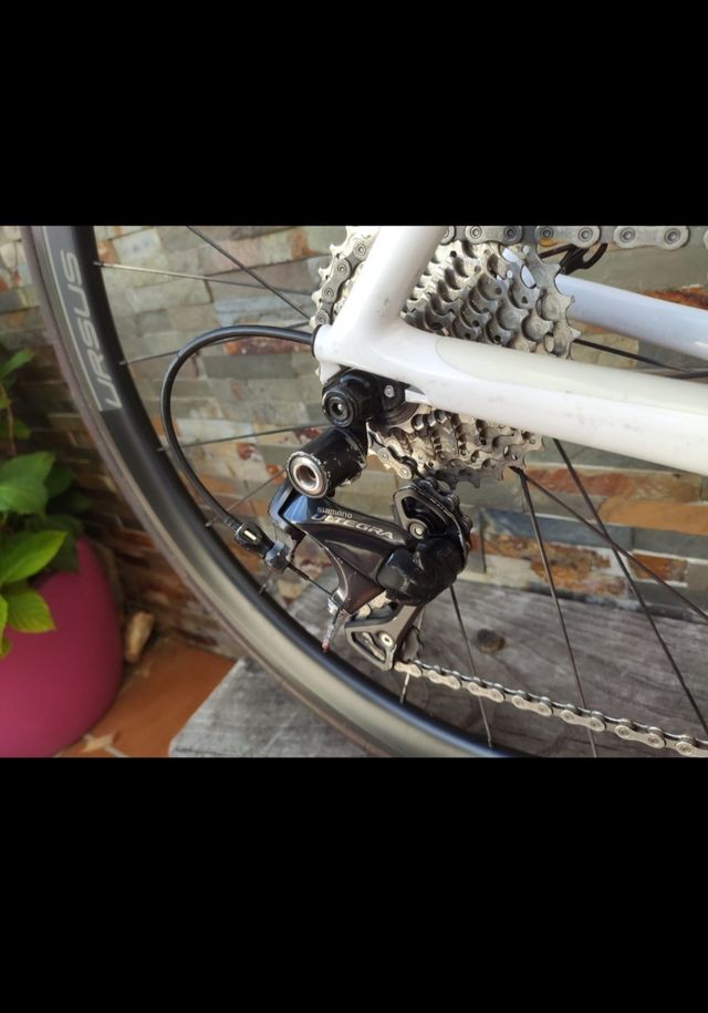 SCOTT SALICE TALLA 52. BICI BICICLETA