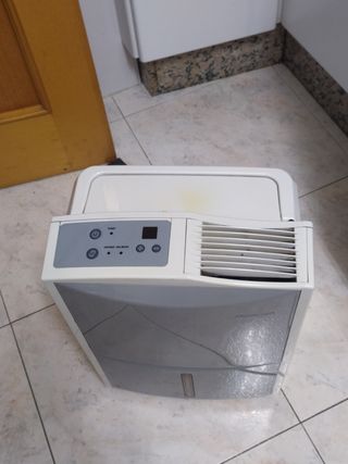DESHUMIDIFICADOR 10Lo