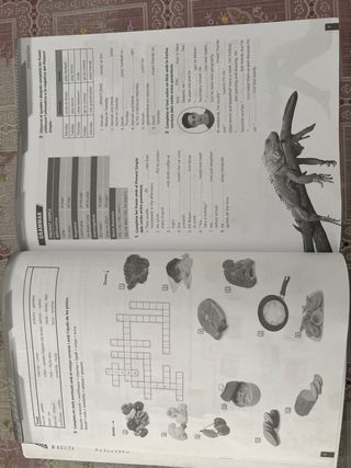 ACTION! Basic Practice 4ESO catalán