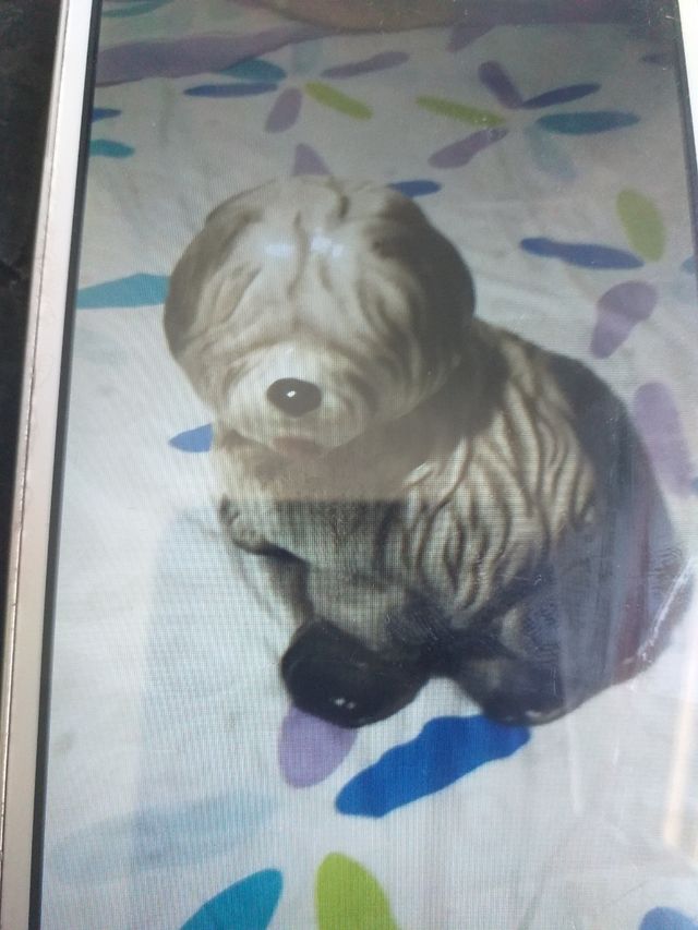 perrito de porcelana .de adorno grandecito