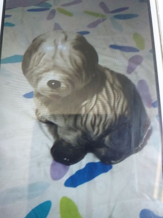 perrito de porcelana .de adorno grandecito