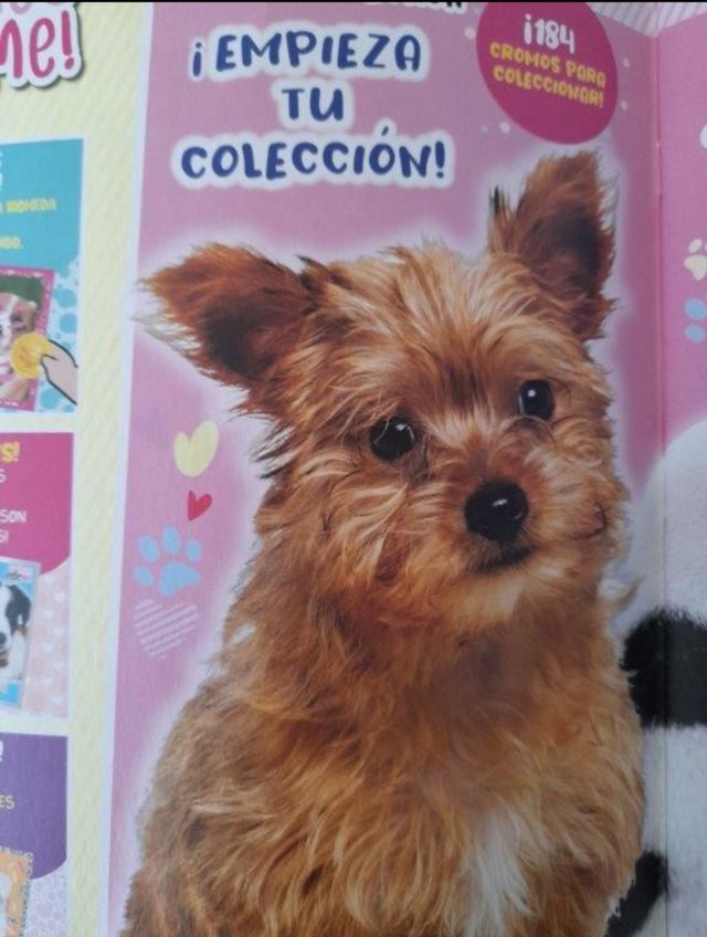 3 álbumes + 12 sobres de perros y gatos