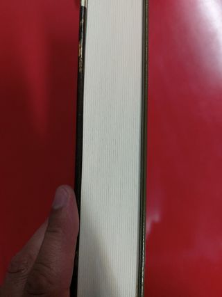 Il circolo Dante- di Matthew Pearl- romanzo