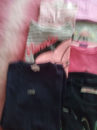 13 magliette cotone manica lunga 