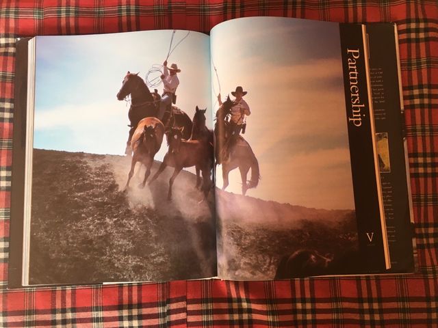 LIBRO CABALLOS SALVAJES AMERICANOS MUSTANGS