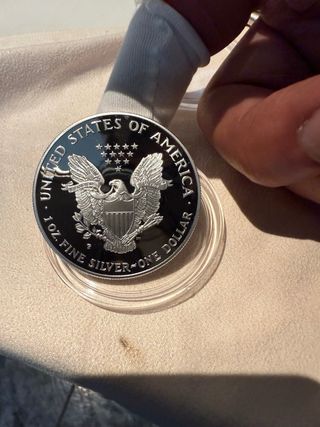 Moneda eagle proof 1995 