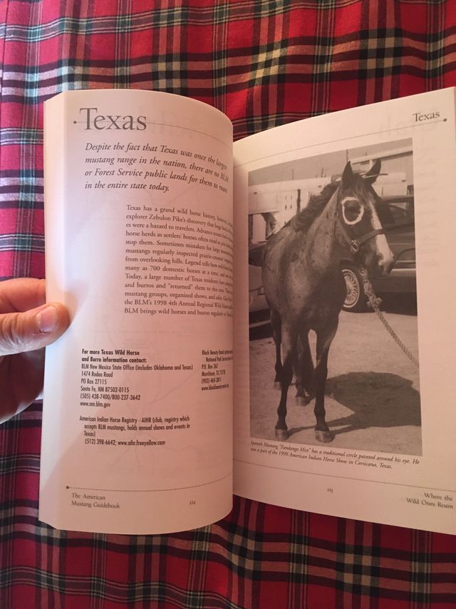 LIBRO SOBRE CABALLOS SALVAJES AMERICANOS MUSTANG