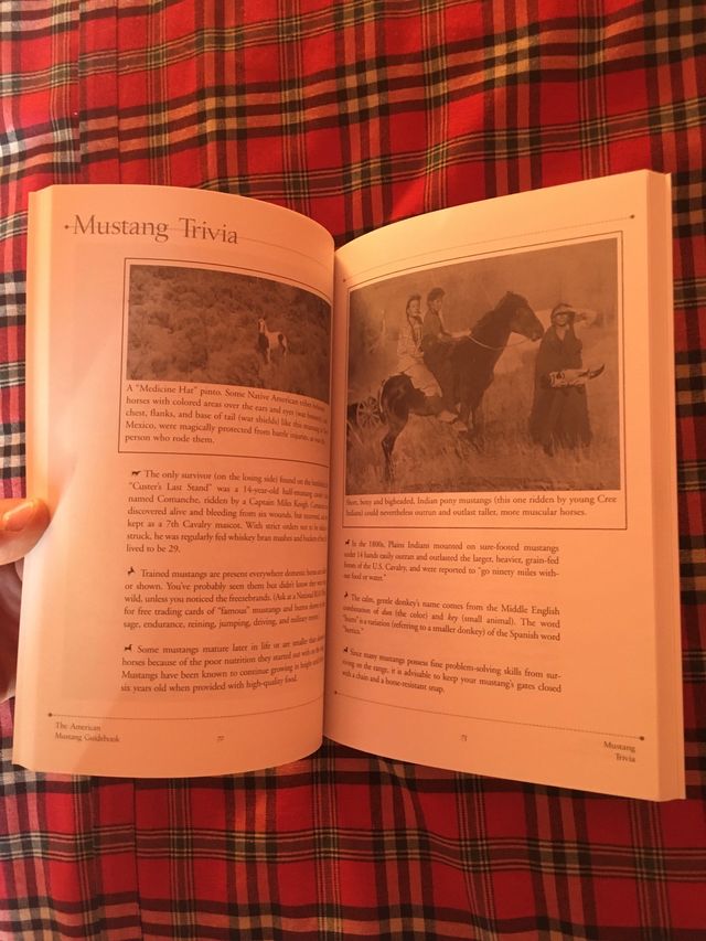 LIBRO SOBRE CABALLOS SALVAJES AMERICANOS MUSTANG