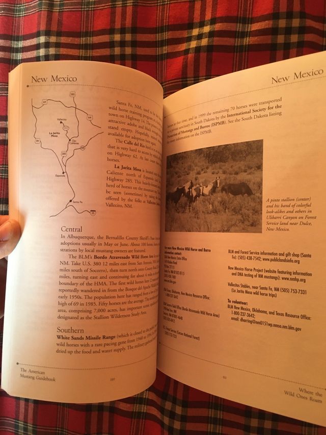 LIBRO SOBRE CABALLOS SALVAJES AMERICANOS MUSTANG