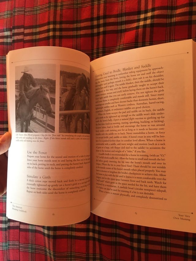 LIBRO SOBRE CABALLOS SALVAJES AMERICANOS MUSTANG