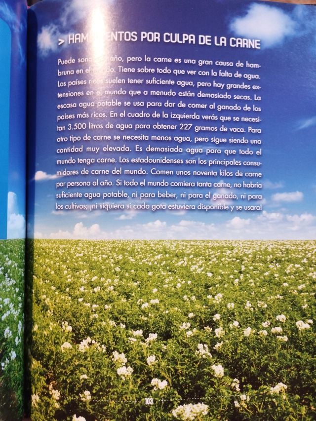 Libro Hola desde el 2030