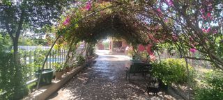 Preciosa casa, jardín huerto piscina Escritura