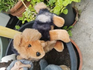 Lote peluches animales domésticos