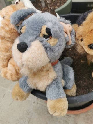 Lote peluches animales domésticos