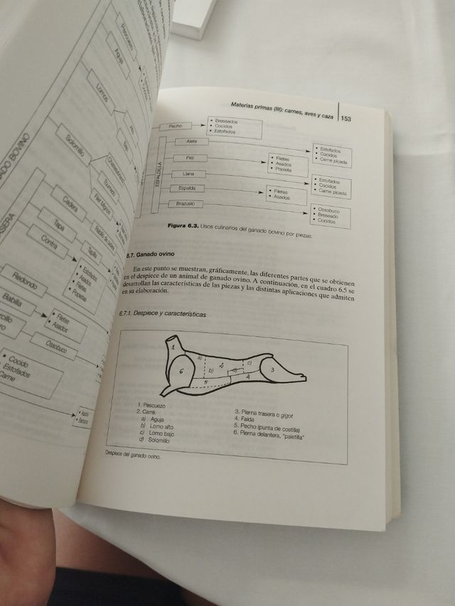 Preelaboración y conservación de alimentos 