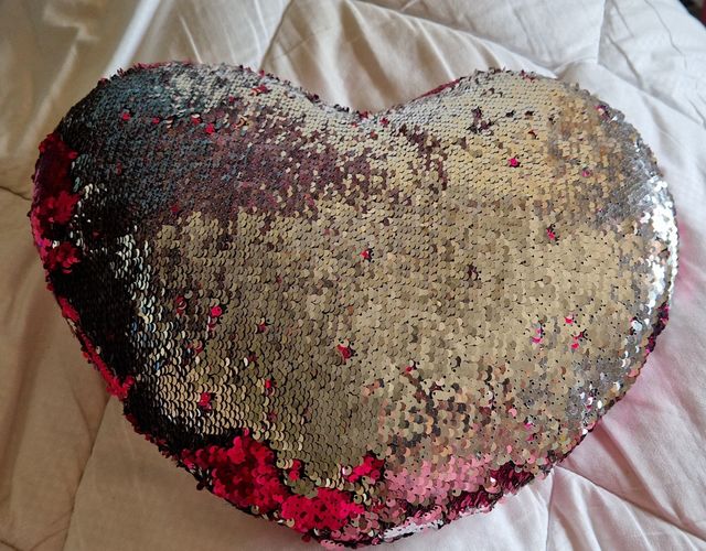 Cojin de lentejuelas
