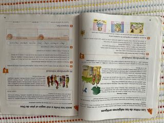 Libro 4 primaria Religión Católica 