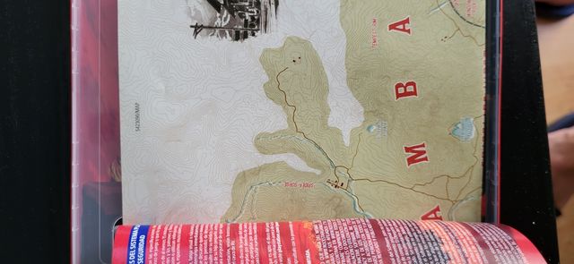 Red Dead Redemption II