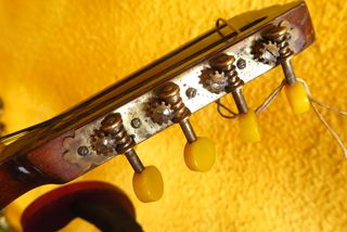 MANDOLINA B/2 GUITARRA LAÚD BANDURRIA