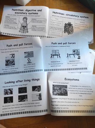 Class Book Oxford Natural Science 4° primaria