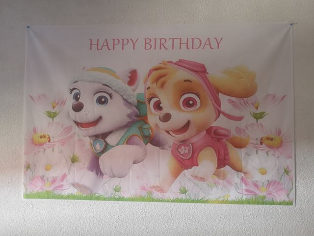 patrulla canina, tela para fondo, foto, decoración