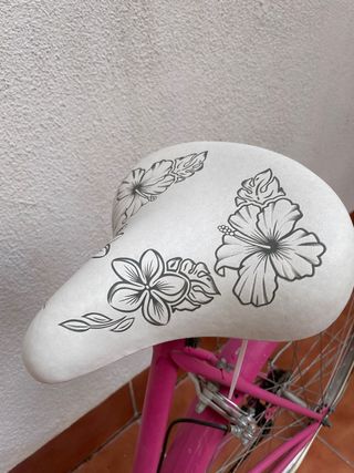 Bicicleta vintage 