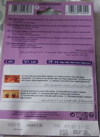 semillas hierba purgar