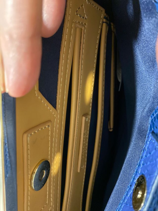 Bolso, Cartera azul, efecto serpiente